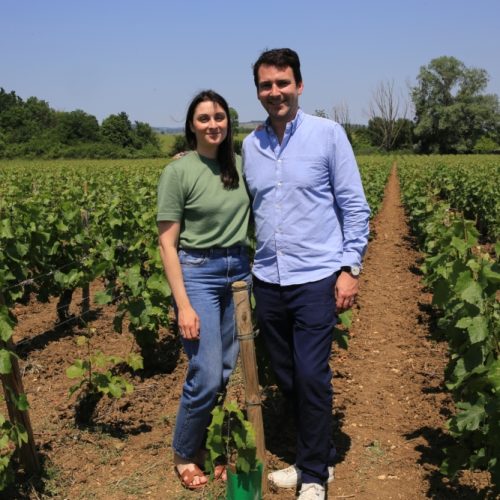 DOMAINE ALVINA PERNOT